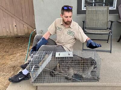 Cleveland pest control